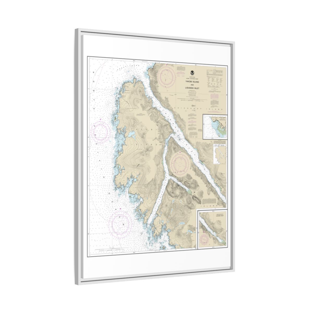 Chart 17303 Yakobi Island and Lisianski Inlet;Pelican Harbor - NOAA Nautical Chart Floating Frame Canvas | 24" x 32" | 30" x 40" - White side