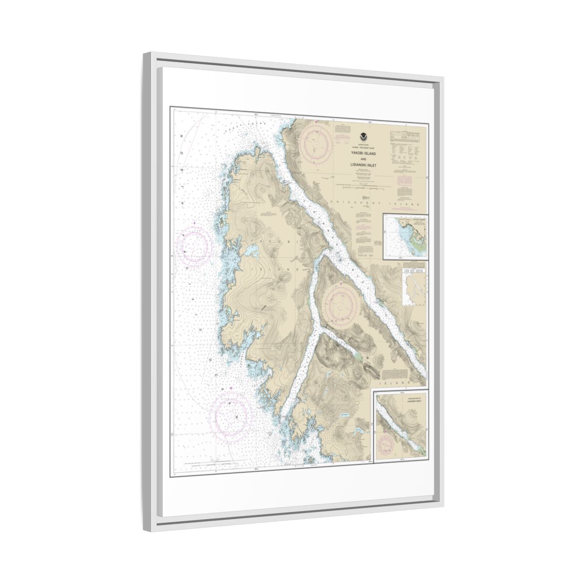 Chart 17303 Yakobi Island and Lisianski Inlet;Pelican Harbor - NOAA Nautical Chart Floating Frame Canvas | 24" x 32" | 30" x 40" - White side