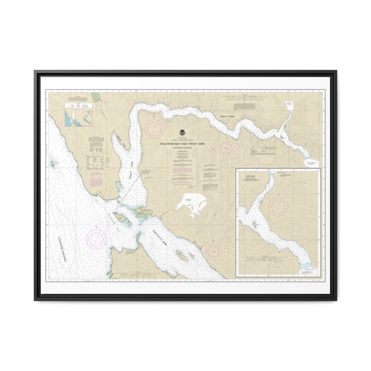 Chart 17311 Holkham Bay And Tracy Arm - Stephens Passage - NOAA Nautical Chart Floating Frame Canvas | 32" x 24" | 40" x 30" - Black front