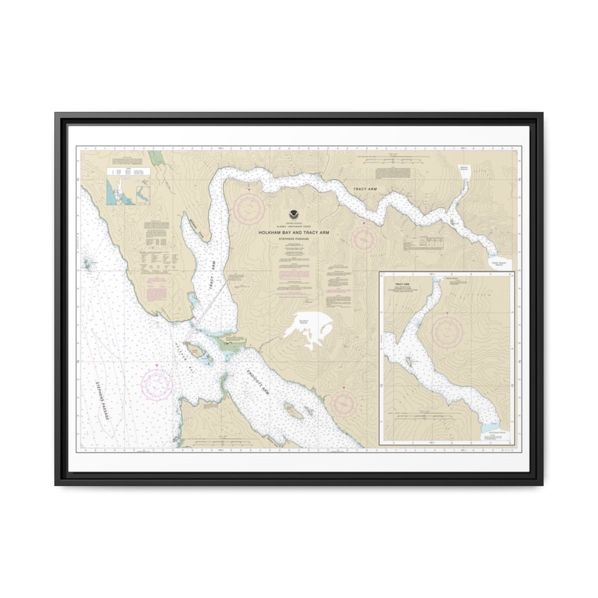 Chart 17311 Holkham Bay And Tracy Arm - Stephens Passage - NOAA Nautical Chart Floating Frame Canvas | 32" x 24" | 40" x 30" - Black front