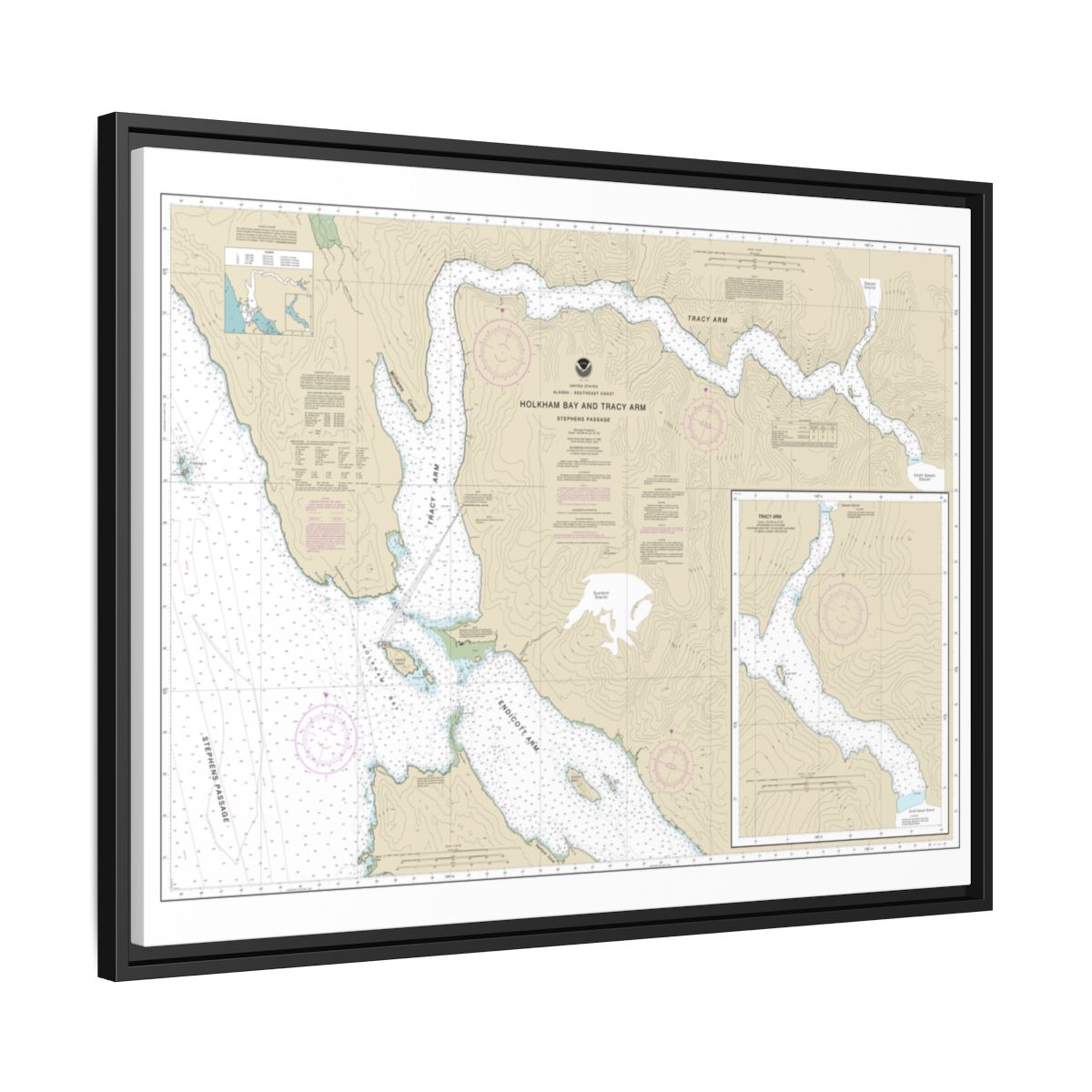 Chart 17311 Holkham Bay And Tracy Arm - Stephens Passage - NOAA Nautical Chart Floating Frame Canvas | 32" x 24" | 40" x 30" - Black side
