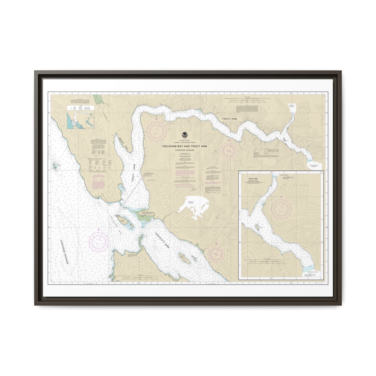 Chart 17311 Holkham Bay And Tracy Arm - Stephens Passage - NOAA Nautical Chart Floating Frame Canvas | 32" x 24" | 40" x 30" - Espresso front