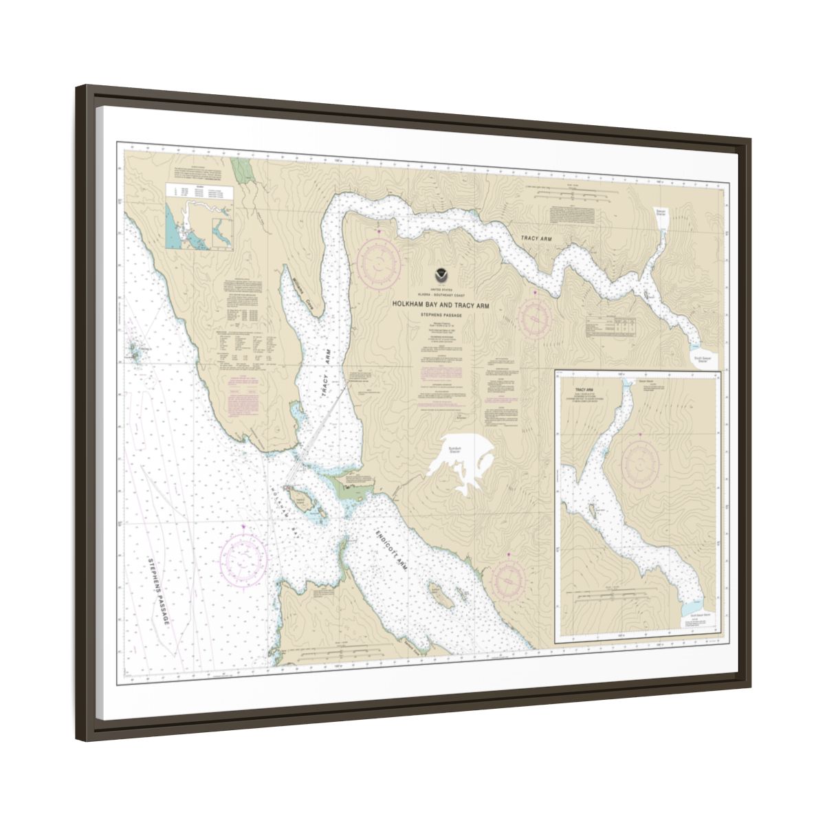 Chart 17311 Holkham Bay And Tracy Arm - Stephens Passage - NOAA Nautical Chart Floating Frame Canvas | 32" x 24" | 40" x 30" - Espresso side