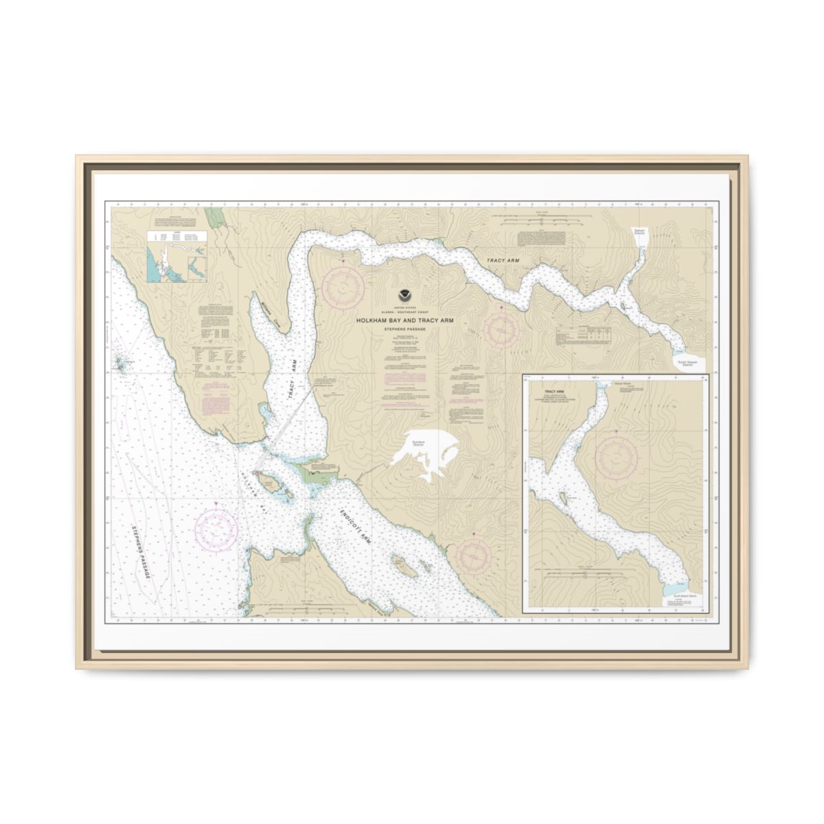 Chart 17311 Holkham Bay And Tracy Arm - Stephens Passage - NOAA Nautical Chart Floating Frame Canvas | 32" x 24" | 40" x 30" - Natural front