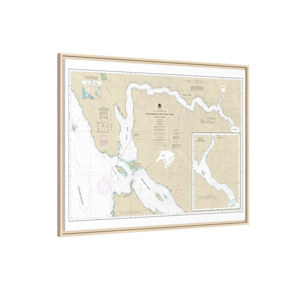 Chart 17311 Holkham Bay And Tracy Arm - Stephens Passage - NOAA Nautical Chart Floating Frame Canvas | 32" x 24" | 40" x 30" - Natural side