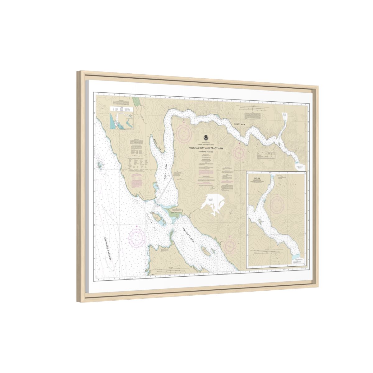 Chart 17311 Holkham Bay And Tracy Arm - Stephens Passage - NOAA Nautical Chart Floating Frame Canvas | 32" x 24" | 40" x 30" - Natural side