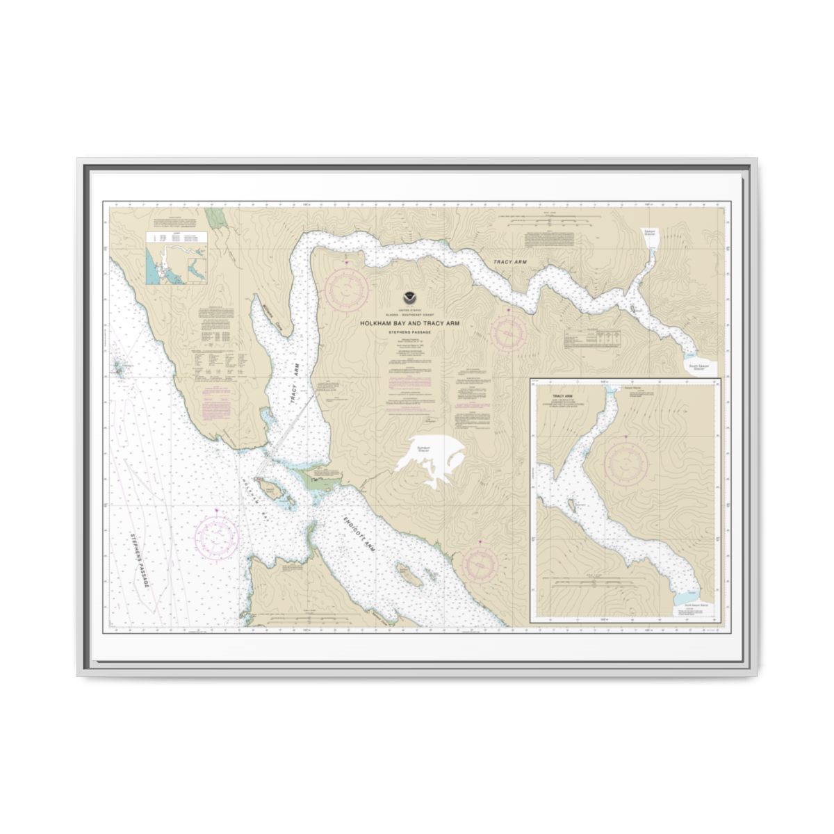 Chart 17311 Holkham Bay And Tracy Arm - Stephens Passage - NOAA Nautical Chart Floating Frame Canvas | 32" x 24" | 40" x 30" - White front