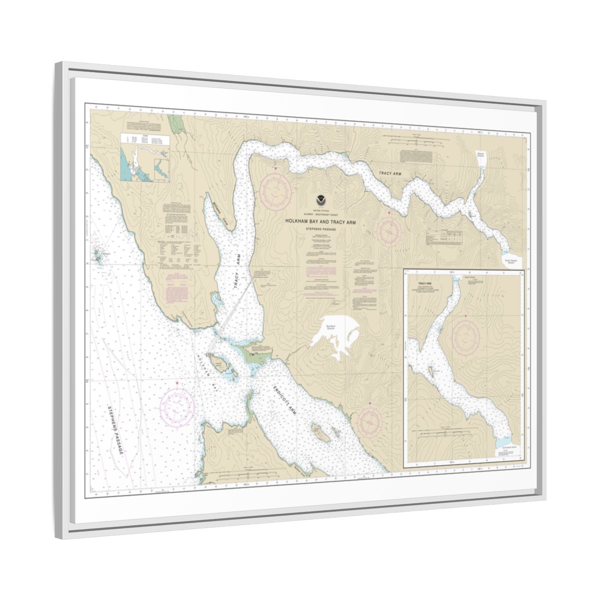Chart 17311 Holkham Bay And Tracy Arm - Stephens Passage - NOAA Nautical Chart Floating Frame Canvas | 32" x 24" | 40" x 30" - White side