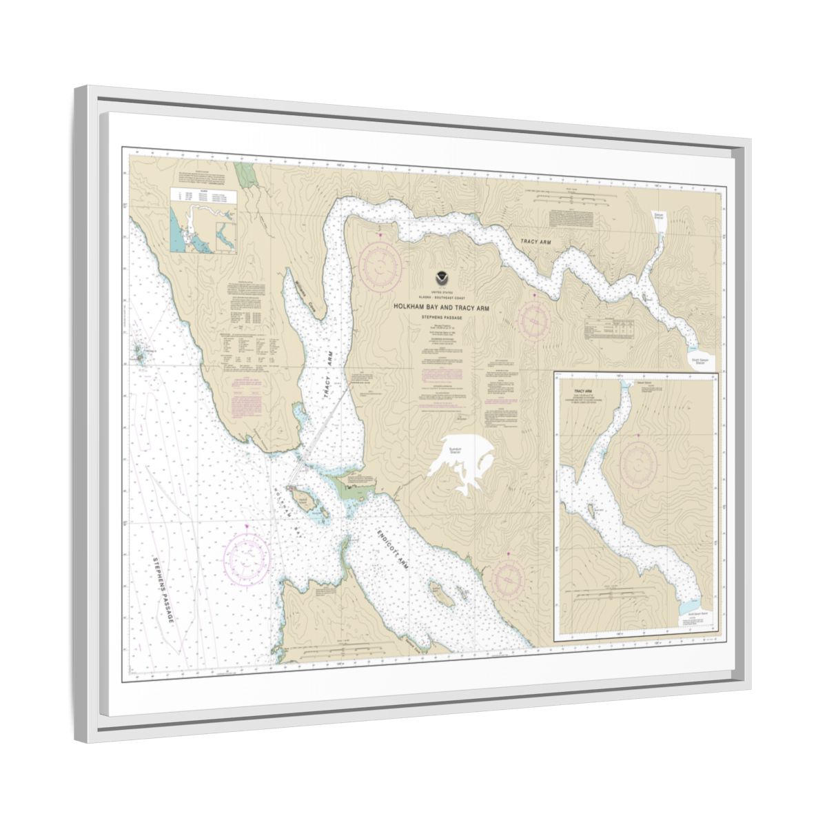 Chart 17311 Holkham Bay And Tracy Arm - Stephens Passage - NOAA Nautical Chart Floating Frame Canvas | 32" x 24" | 40" x 30" - White side
