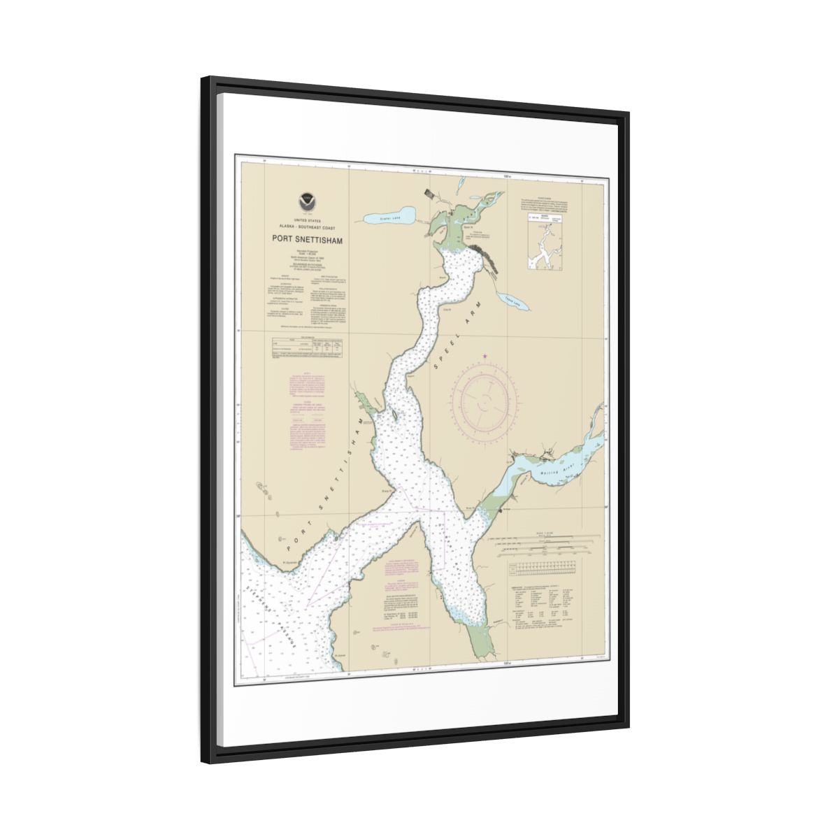 Chart 17313 Port Snettisham - NOAA Nautical Chart Floating Frame Canvas | 24" x 32" | 30" x 40" - Black side