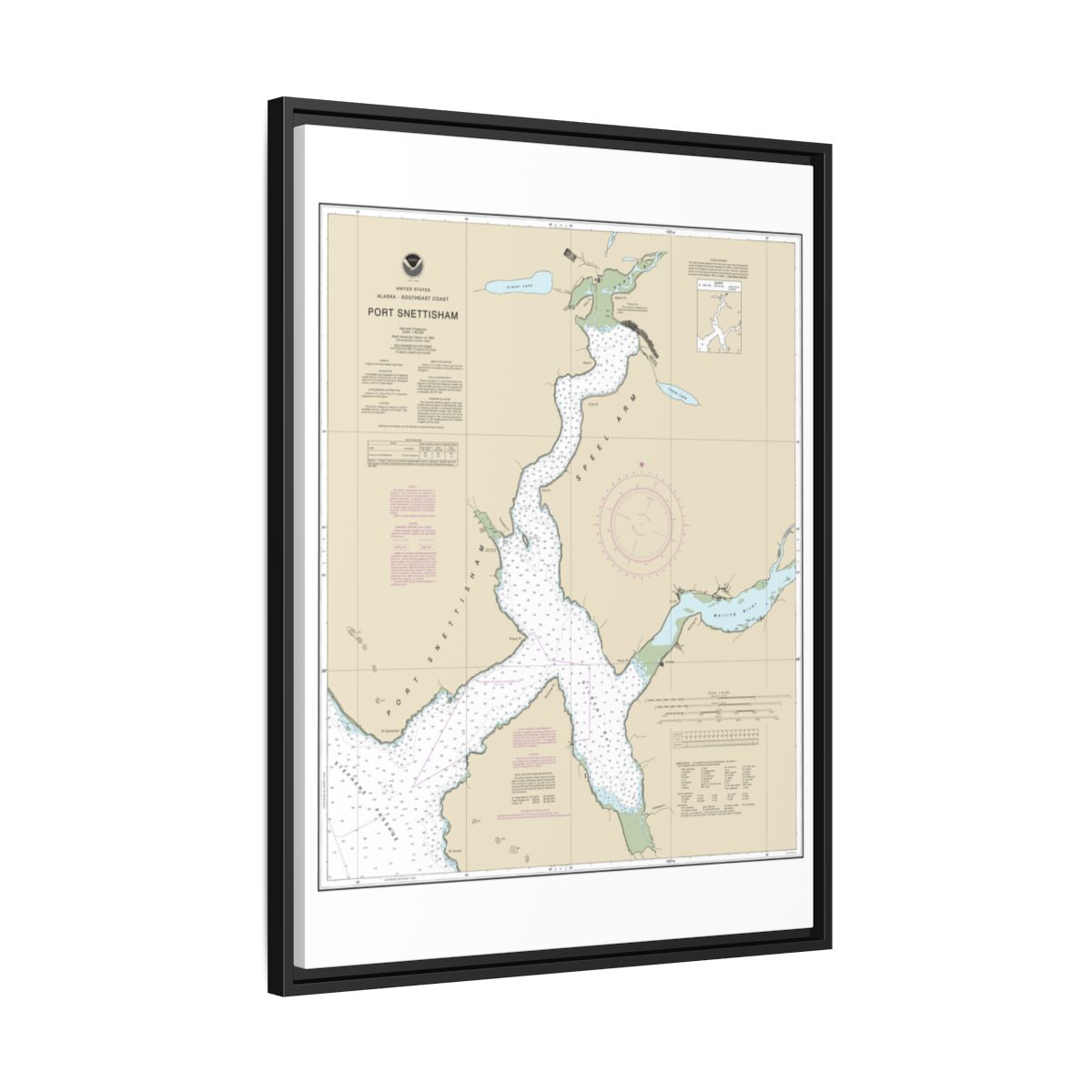 Chart 17313 Port Snettisham - NOAA Nautical Chart Floating Frame Canvas | 24" x 32" | 30" x 40" - Black side