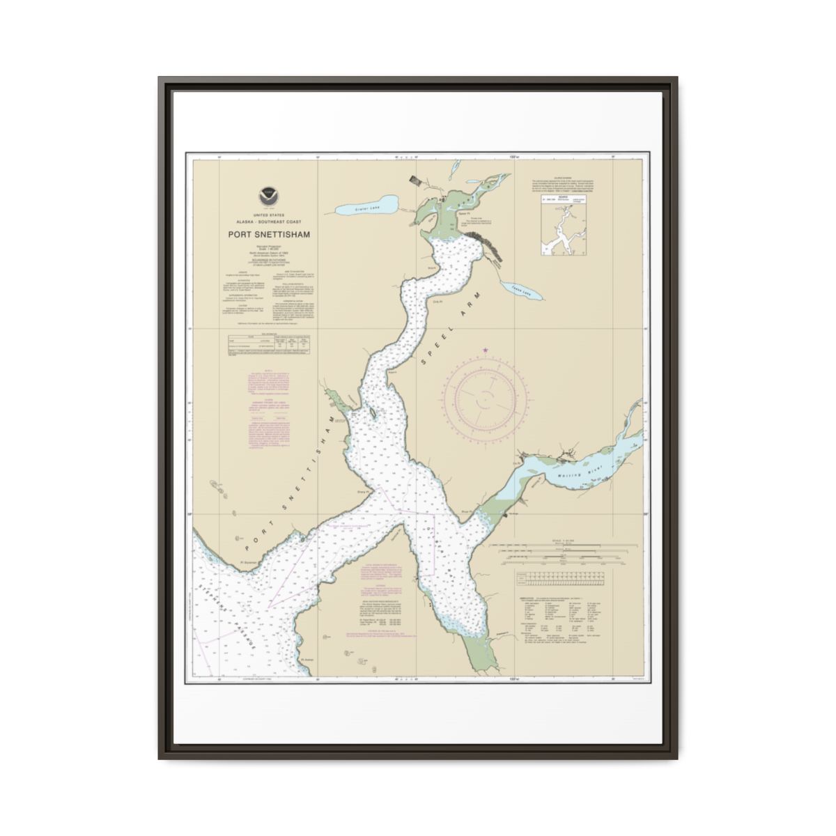 Chart 17313 Port Snettisham - NOAA Nautical Chart Floating Frame Canvas | 24" x 32" | 30" x 40" - Espresso front