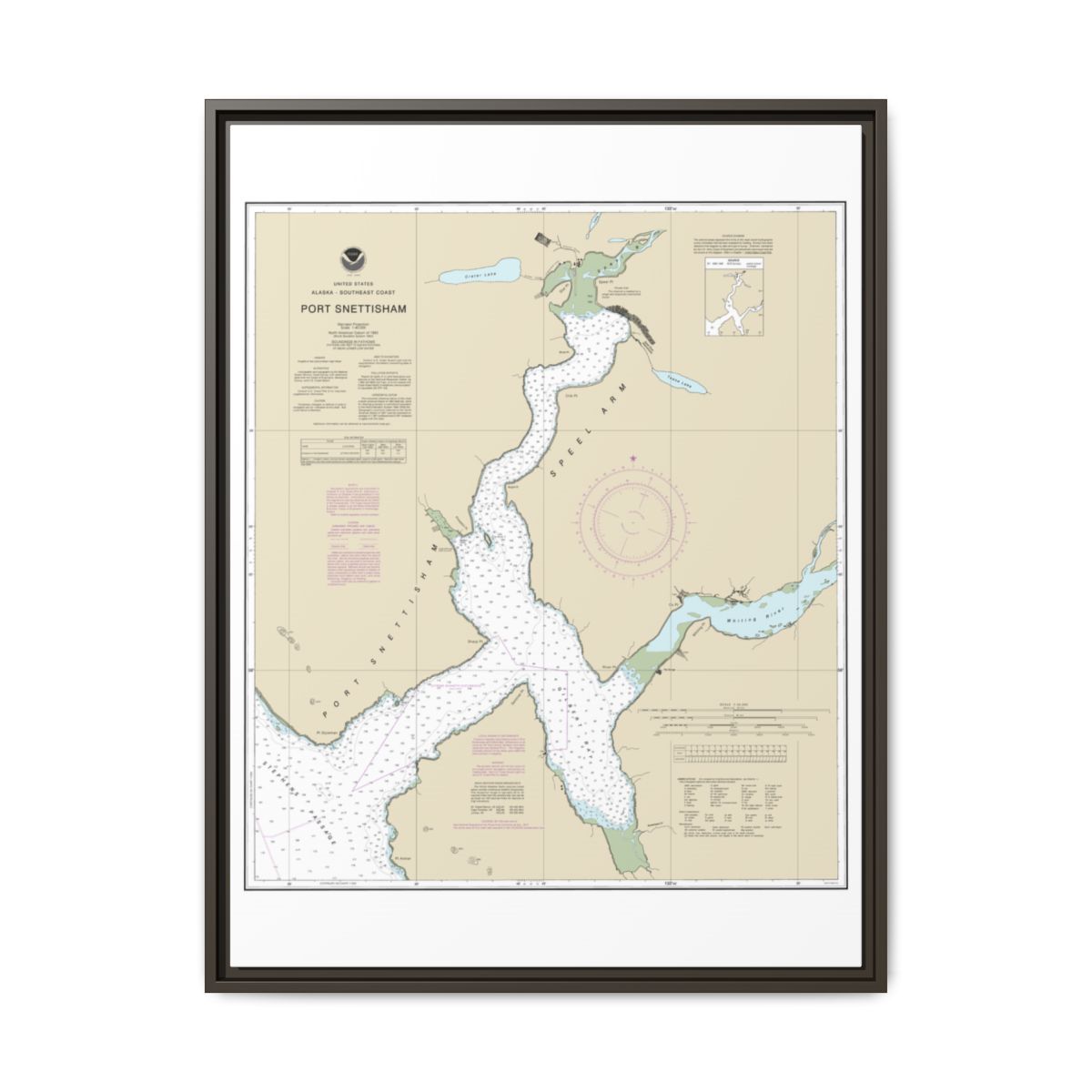 Chart 17313 Port Snettisham - NOAA Nautical Chart Floating Frame Canvas | 24" x 32" | 30" x 40" - Espresso front