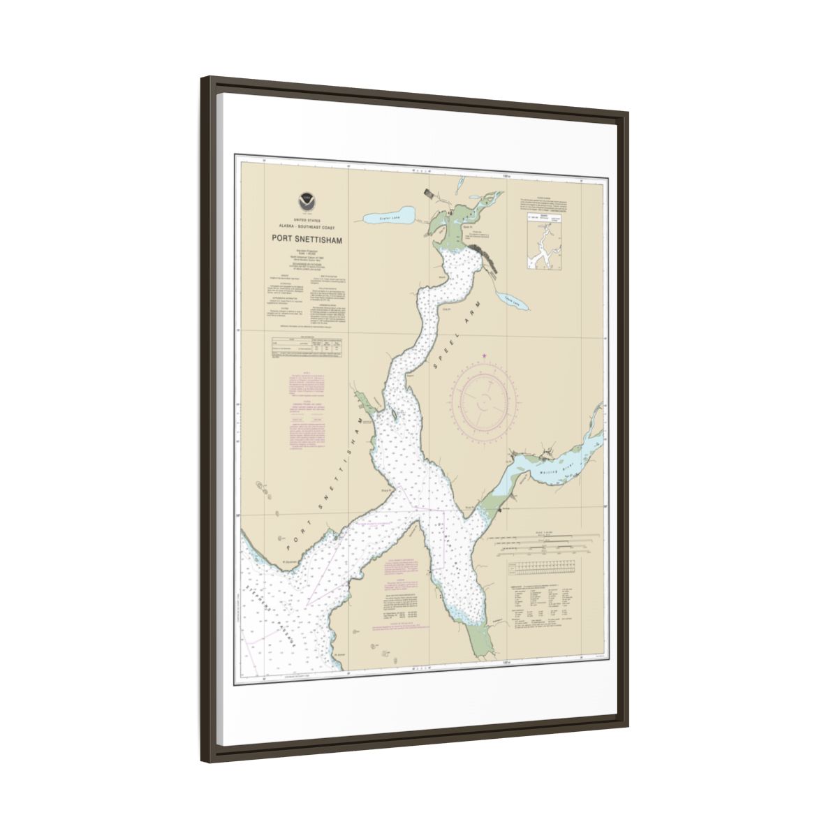 Chart 17313 Port Snettisham - NOAA Nautical Chart Floating Frame Canvas | 24" x 32" | 30" x 40" - Espresso side
