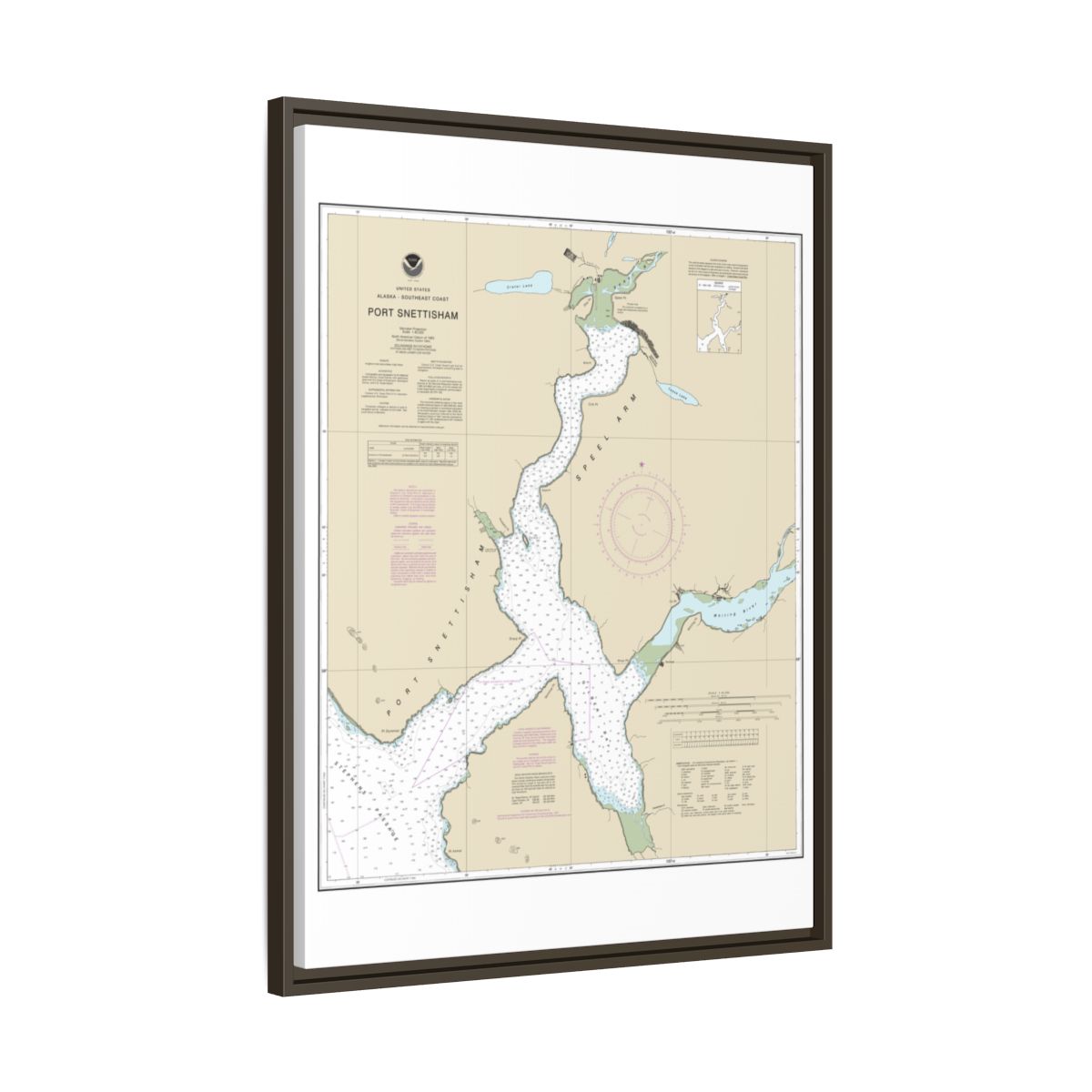 Chart 17313 Port Snettisham - NOAA Nautical Chart Floating Frame Canvas | 24" x 32" | 30" x 40" - Espresso side