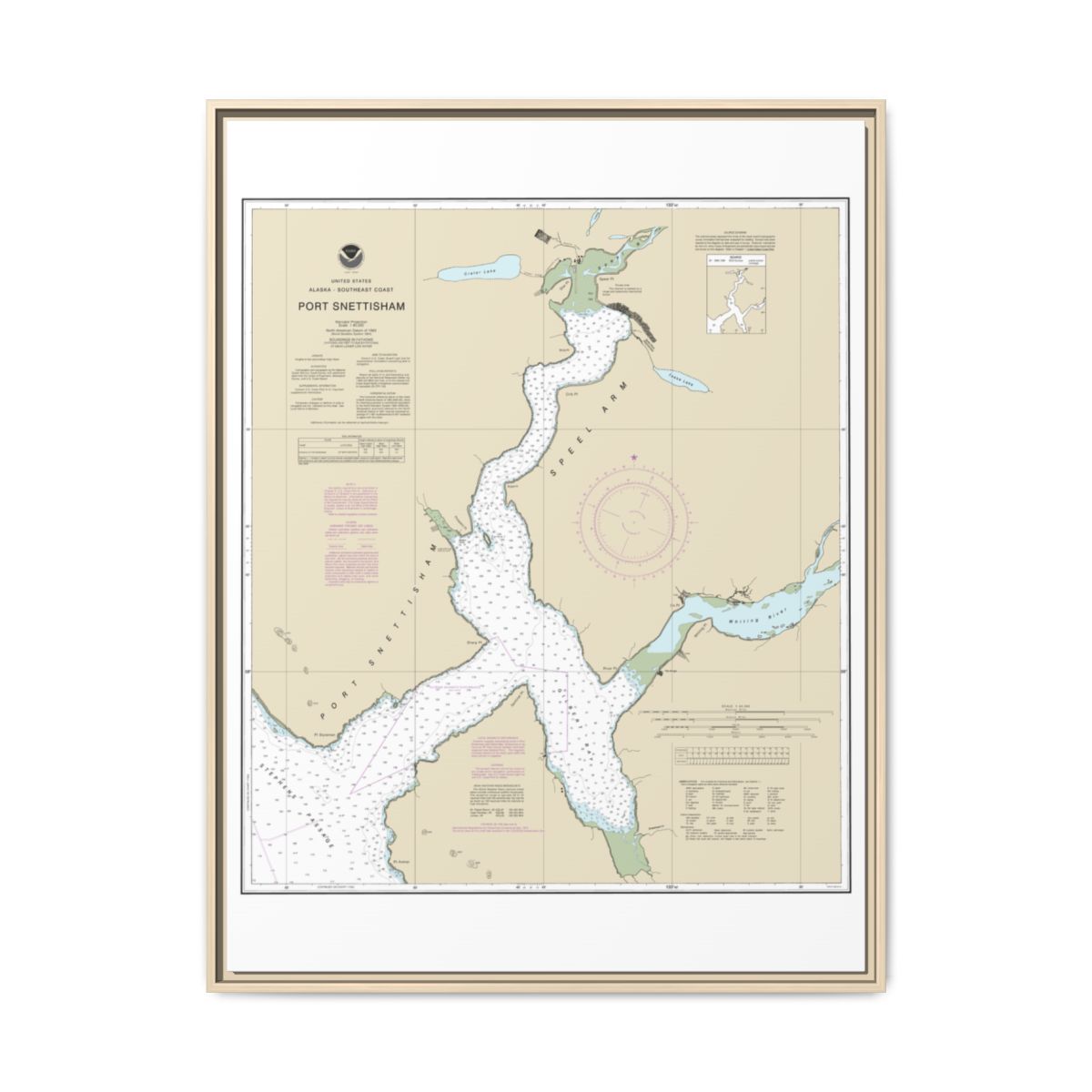 Chart 17313 Port Snettisham - NOAA Nautical Chart Floating Frame Canvas | 24" x 32" | 30" x 40" - Natural front