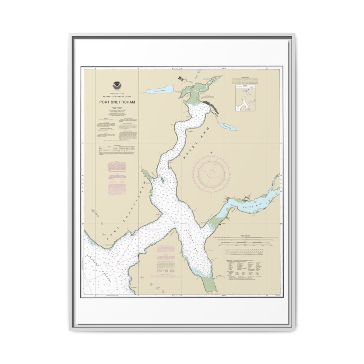 Chart 17313 Port Snettisham - NOAA Nautical Chart Floating Frame Canvas | 24" x 32" | 30" x 40" - White front