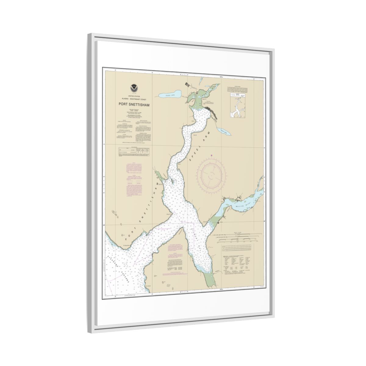 Chart 17313 Port Snettisham - NOAA Nautical Chart Floating Frame Canvas | 24" x 32" | 30" x 40" - White side