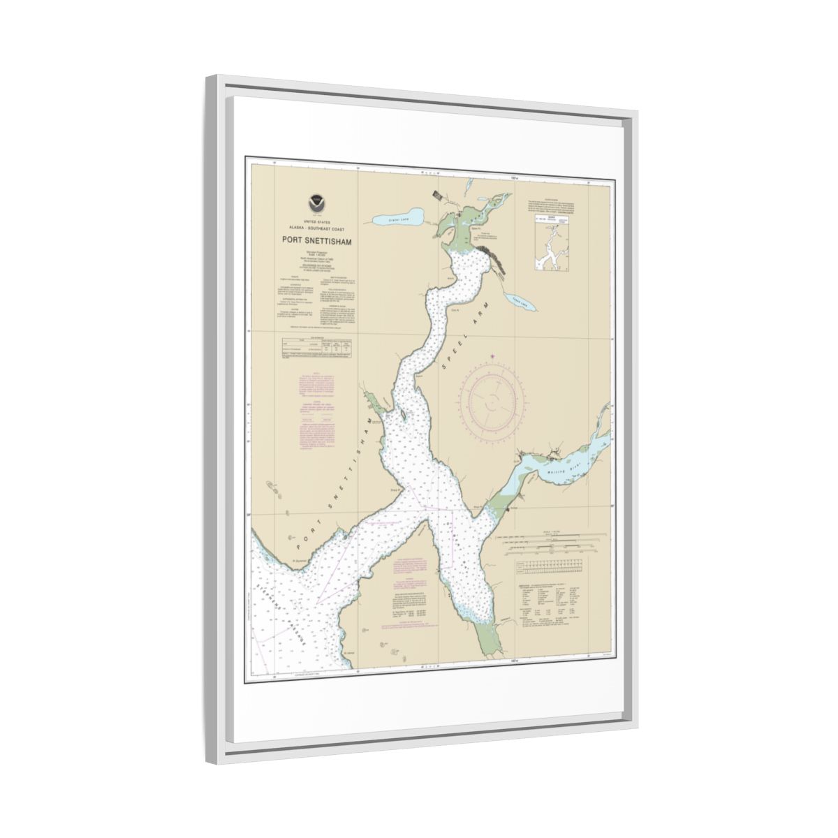 Chart 17313 Port Snettisham - NOAA Nautical Chart Floating Frame Canvas | 24" x 32" | 30" x 40" - White side