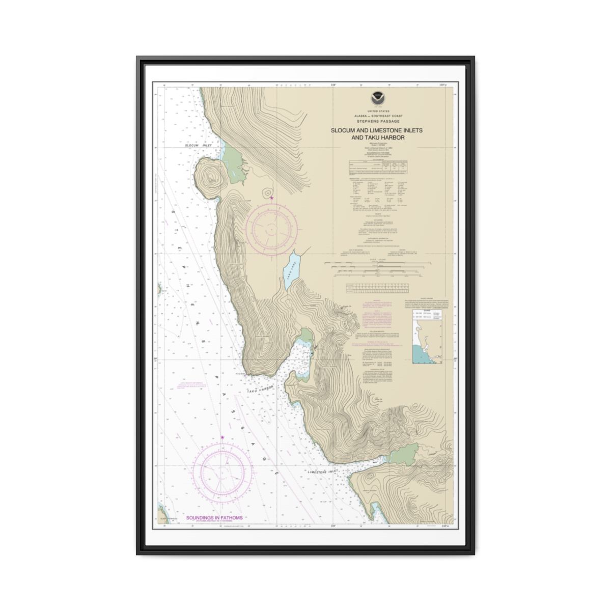 Chart 17314 Slocum and Limestone Inlets and Taku Harbor - NOAA Nautical Chart Floating Frame Canvas | 20" x 30" | 24" x 36" | 32" x 48" - Black front