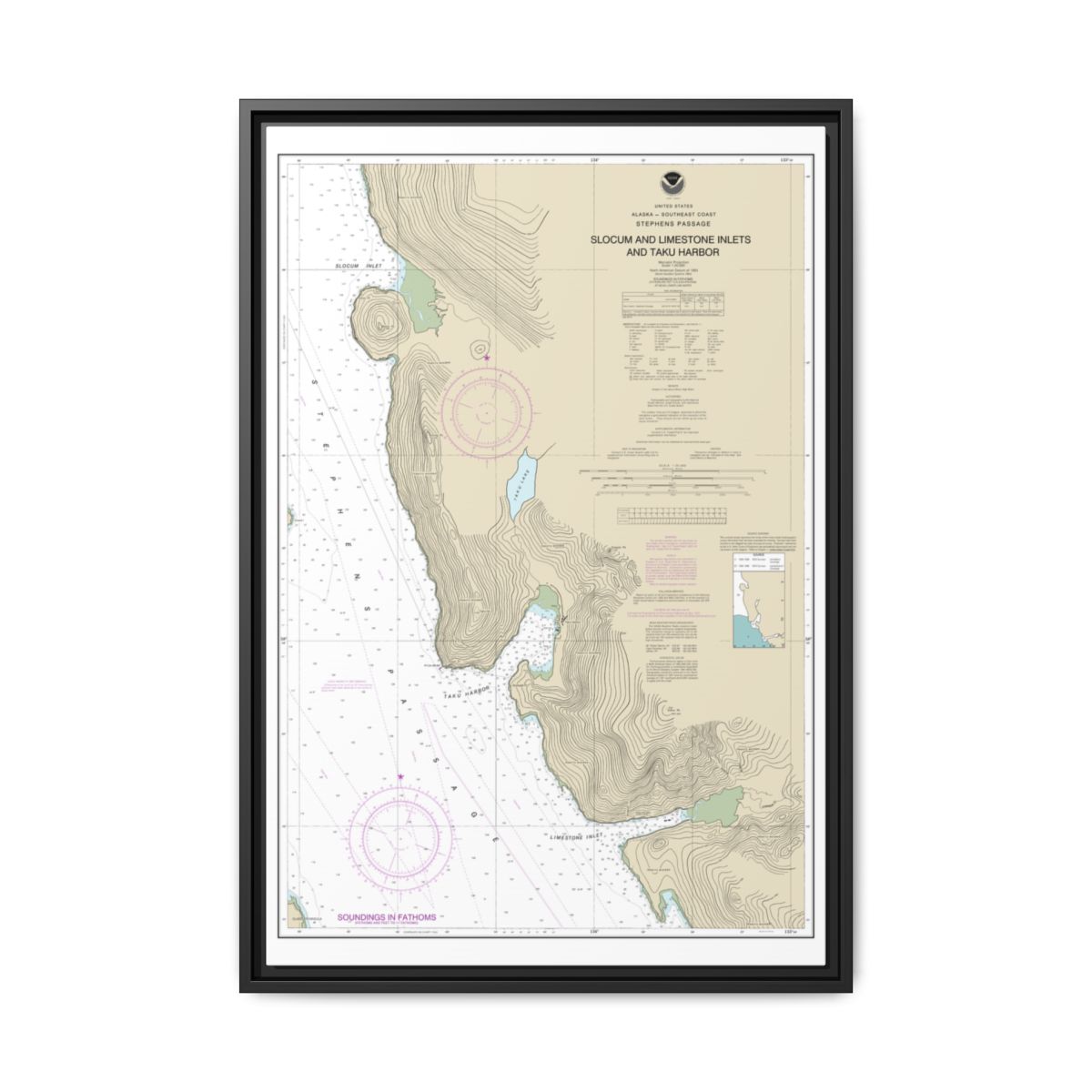 Chart 17314 Slocum and Limestone Inlets and Taku Harbor - NOAA Nautical Chart Floating Frame Canvas | 20" x 30" | 24" x 36" | 32" x 48" - Black front