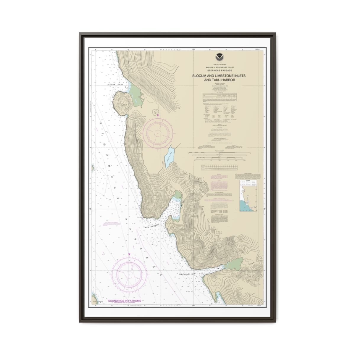 Chart 17314 Slocum and Limestone Inlets and Taku Harbor - NOAA Nautical Chart Floating Frame Canvas | 20" x 30" | 24" x 36" | 32" x 48" - Espresso front