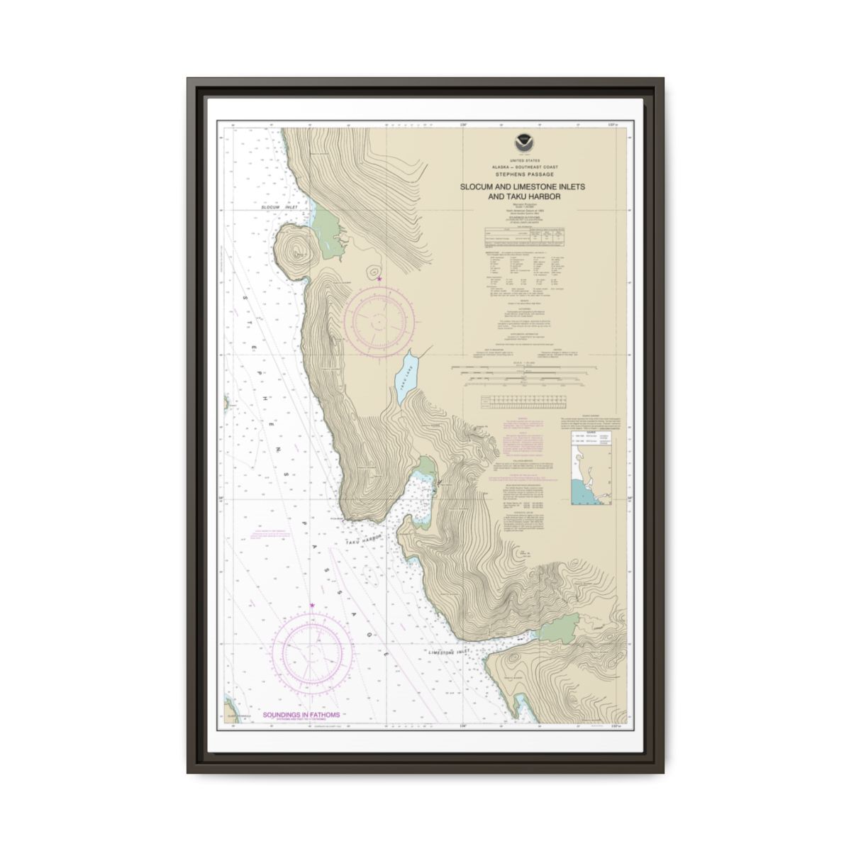Chart 17314 Slocum and Limestone Inlets and Taku Harbor - NOAA Nautical Chart Floating Frame Canvas | 20" x 30" | 24" x 36" | 32" x 48" - Espresso front