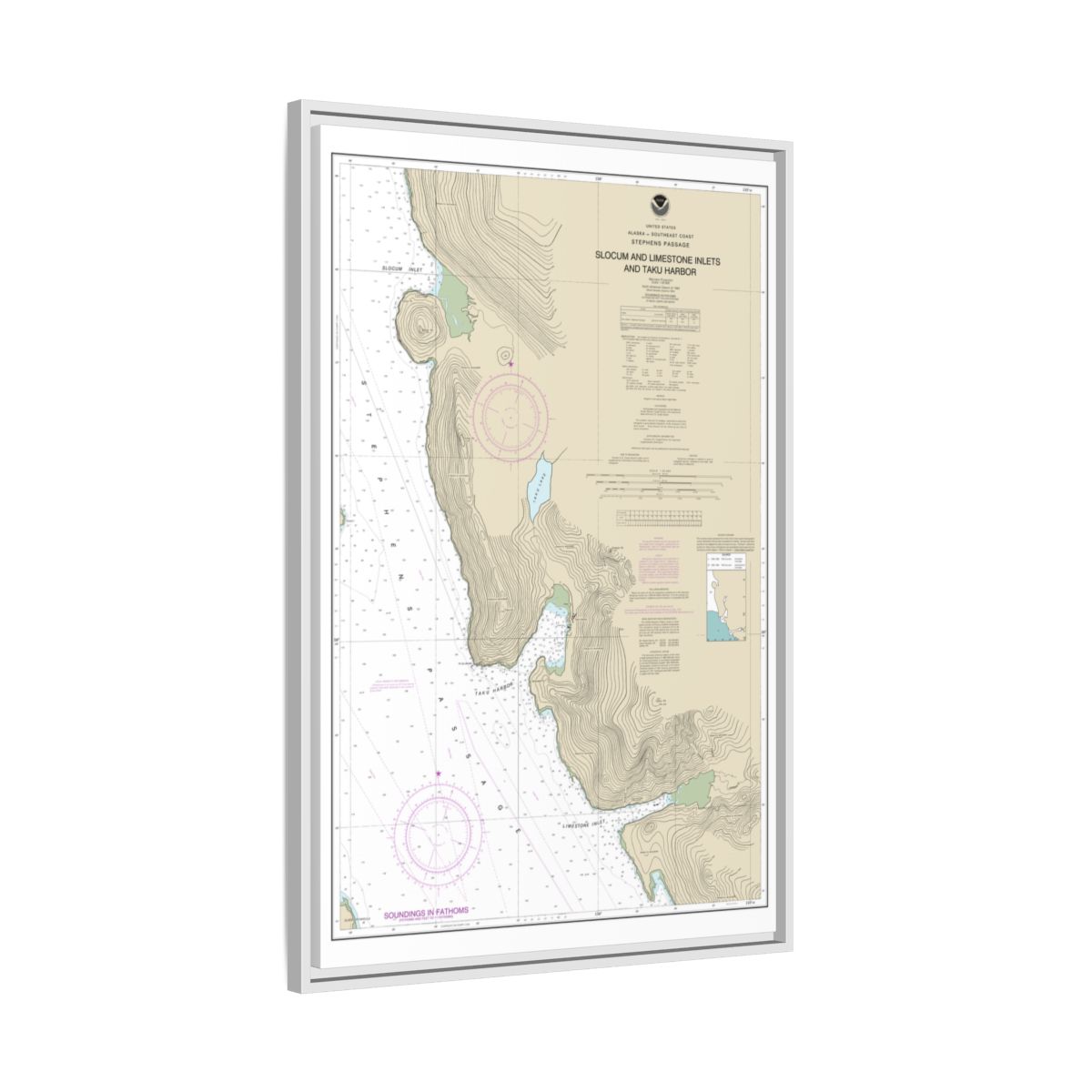 Chart 17314 Slocum and Limestone Inlets and Taku Harbor - NOAA Nautical Chart Floating Frame Canvas | 20" x 30" | 24" x 36" | 32" x 48" - White side