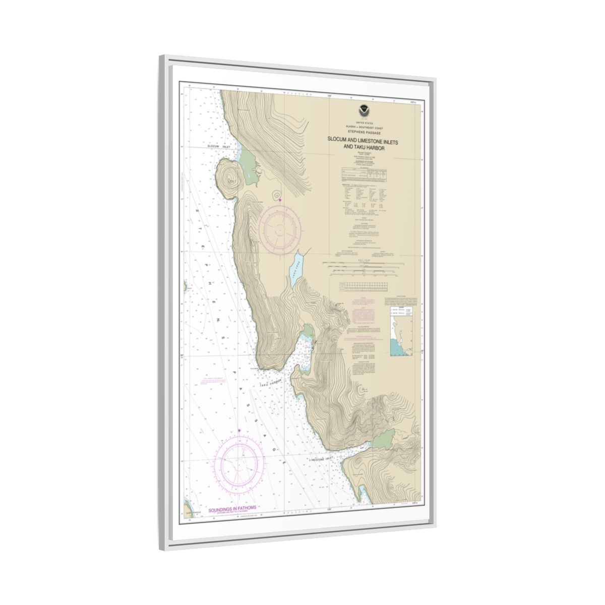 Chart 17314 Slocum and Limestone Inlets and Taku Harbor - NOAA Nautical Chart Floating Frame Canvas | 20" x 30" | 24" x 36" | 32" x 48" - White side