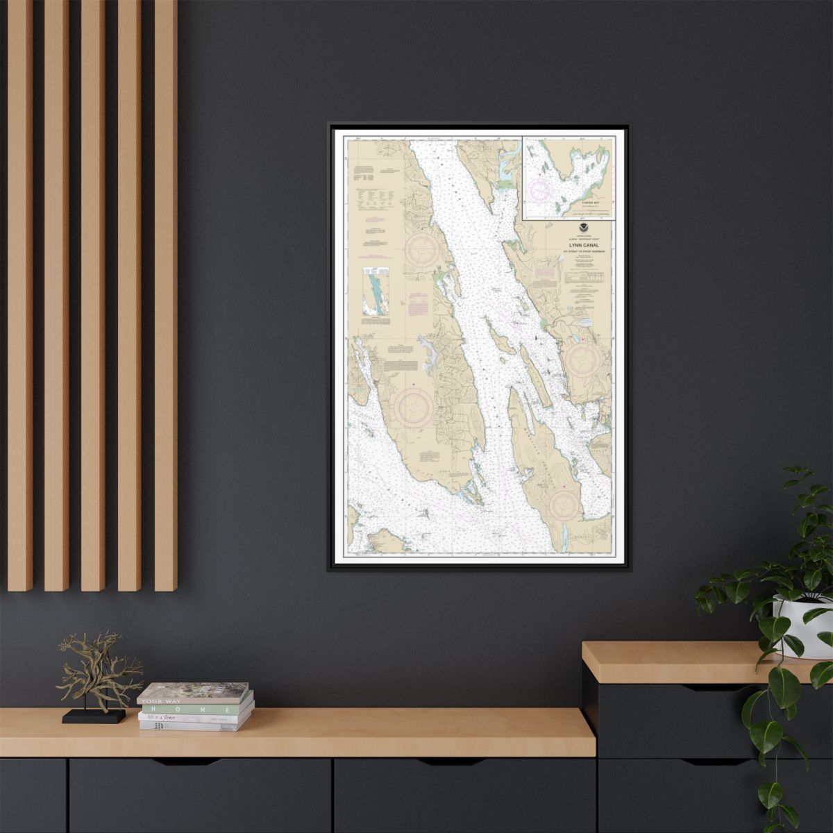 Chart 17316 Lynn Canal-Icy Str. to Point Sherman;Funter Bay;Chatham Strait - NOAA Nautical Chart Floating Frame Canvas | 20" x 30" | 24" x 36" | 32" x 48" - Black context-2
