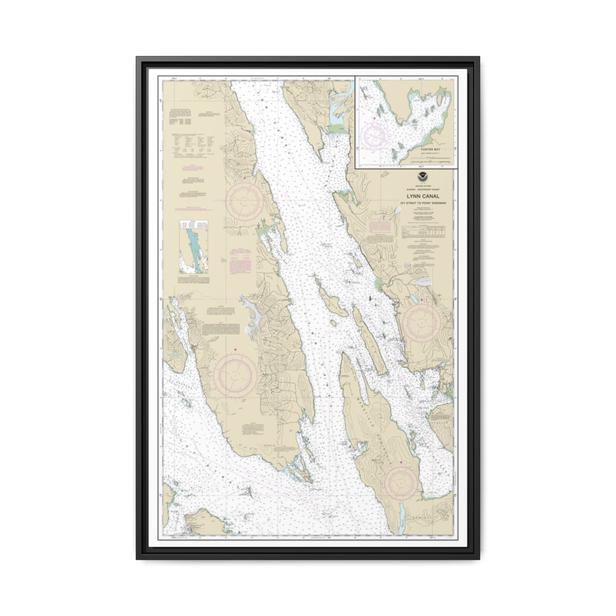 Chart 17316 Lynn Canal-Icy Str. to Point Sherman;Funter Bay;Chatham Strait - NOAA Nautical Chart Floating Frame Canvas | 20" x 30" | 24" x 36" | 32" x 48" - Black front