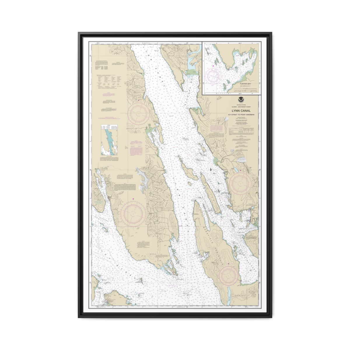 Chart 17316 Lynn Canal-Icy Str. to Point Sherman;Funter Bay;Chatham Strait - NOAA Nautical Chart Floating Frame Canvas | 20" x 30" | 24" x 36" | 32" x 48" - Black front