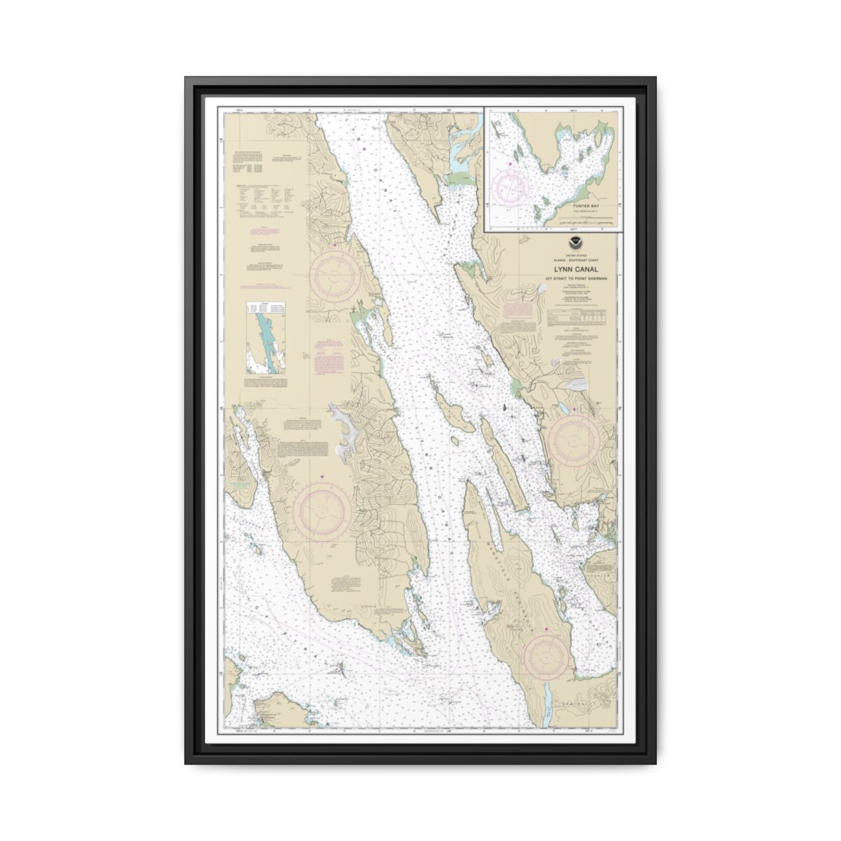 Chart 17316 Lynn Canal-Icy Str. to Point Sherman;Funter Bay;Chatham Strait - NOAA Nautical Chart Floating Frame Canvas | 20" x 30" | 24" x 36" | 32" x 48" - Black front