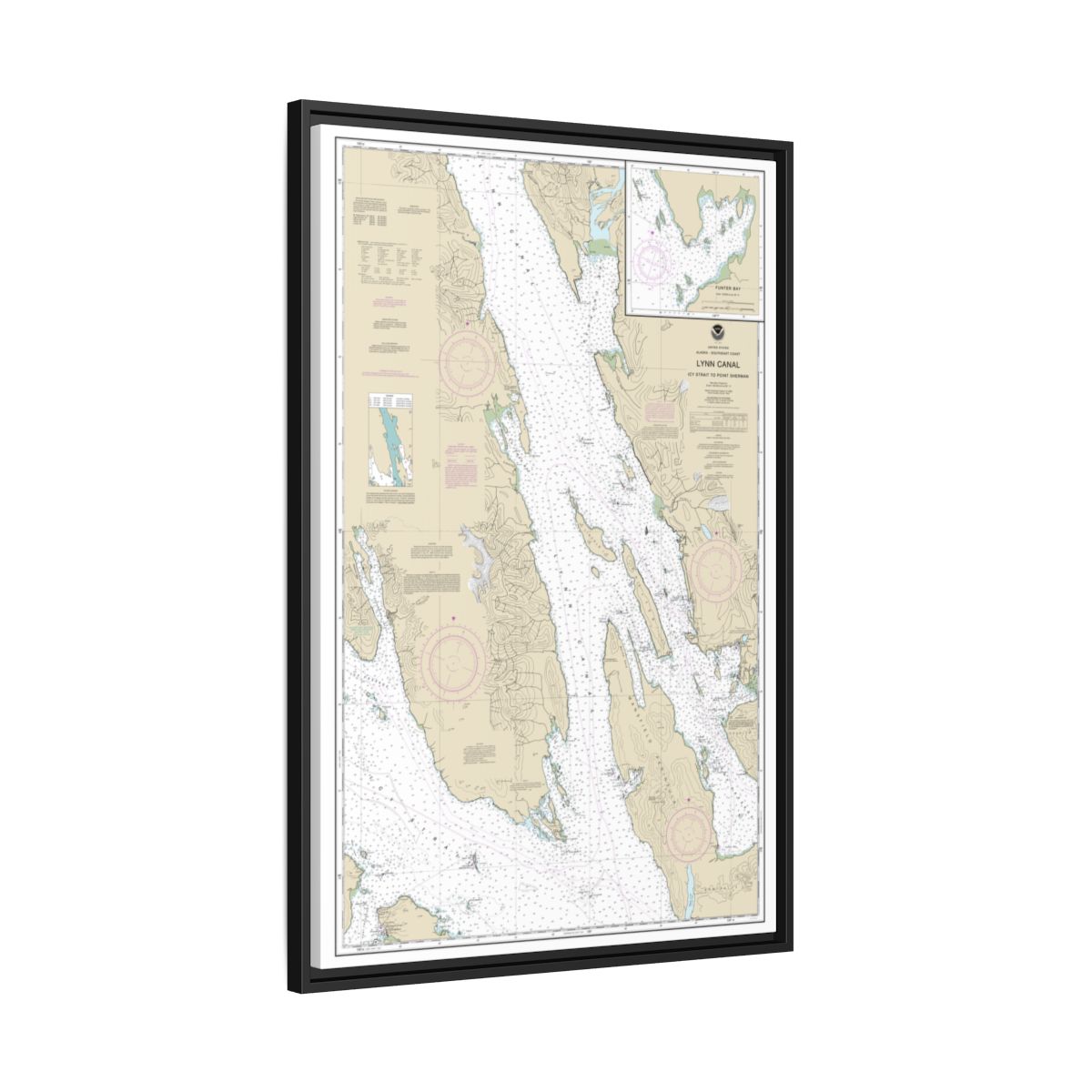 Chart 17316 Lynn Canal-Icy Str. to Point Sherman;Funter Bay;Chatham Strait - NOAA Nautical Chart Floating Frame Canvas | 20" x 30" | 24" x 36" | 32" x 48" - Black side