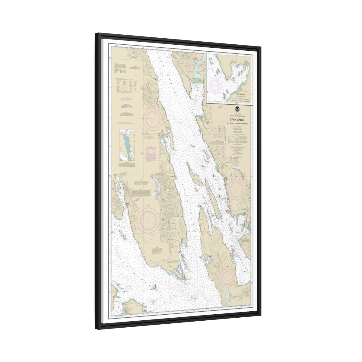 Chart 17316 Lynn Canal-Icy Str. to Point Sherman;Funter Bay;Chatham Strait - NOAA Nautical Chart Floating Frame Canvas | 20" x 30" | 24" x 36" | 32" x 48" - Black side
