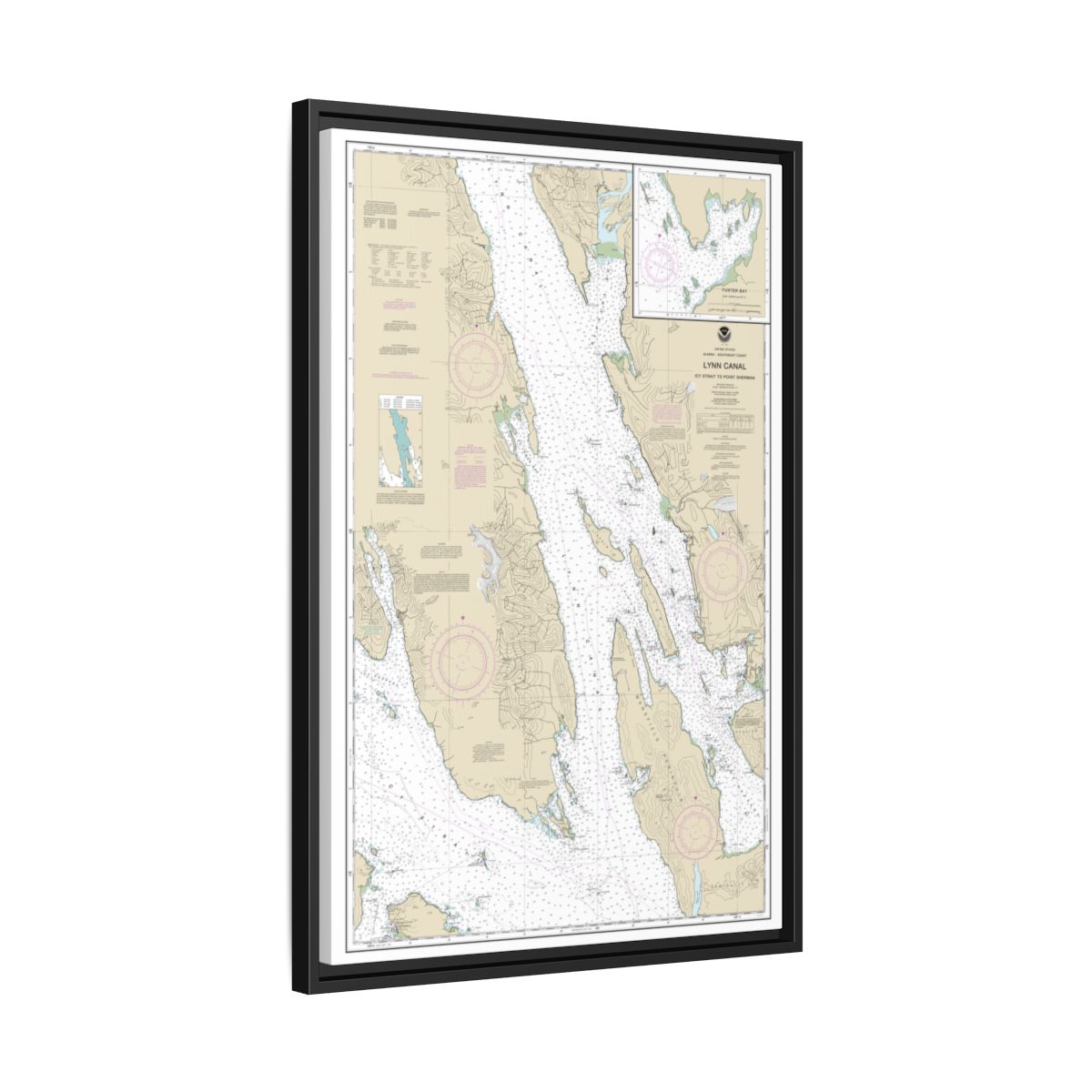 Chart 17316 Lynn Canal-Icy Str. to Point Sherman;Funter Bay;Chatham Strait - NOAA Nautical Chart Floating Frame Canvas | 20" x 30" | 24" x 36" | 32" x 48" - Black side