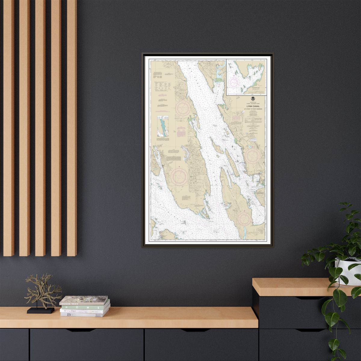 Chart 17316 Lynn Canal-Icy Str. to Point Sherman;Funter Bay;Chatham Strait - NOAA Nautical Chart Floating Frame Canvas | 20" x 30" | 24" x 36" | 32" x 48" - Espresso context-2