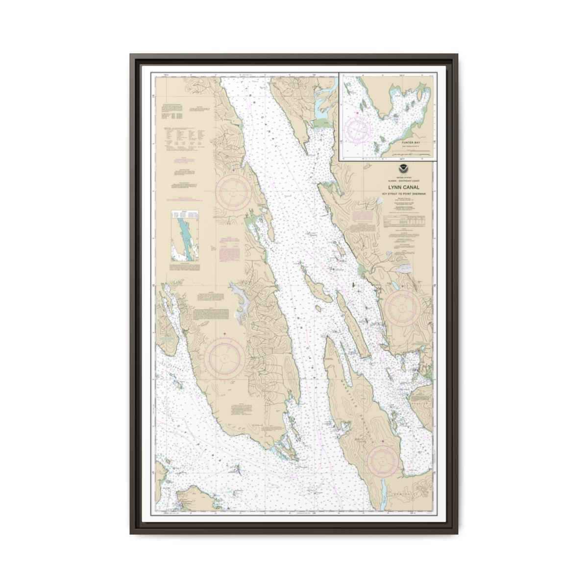 Chart 17316 Lynn Canal-Icy Str. to Point Sherman;Funter Bay;Chatham Strait - NOAA Nautical Chart Floating Frame Canvas | 20" x 30" | 24" x 36" | 32" x 48" - Espresso front