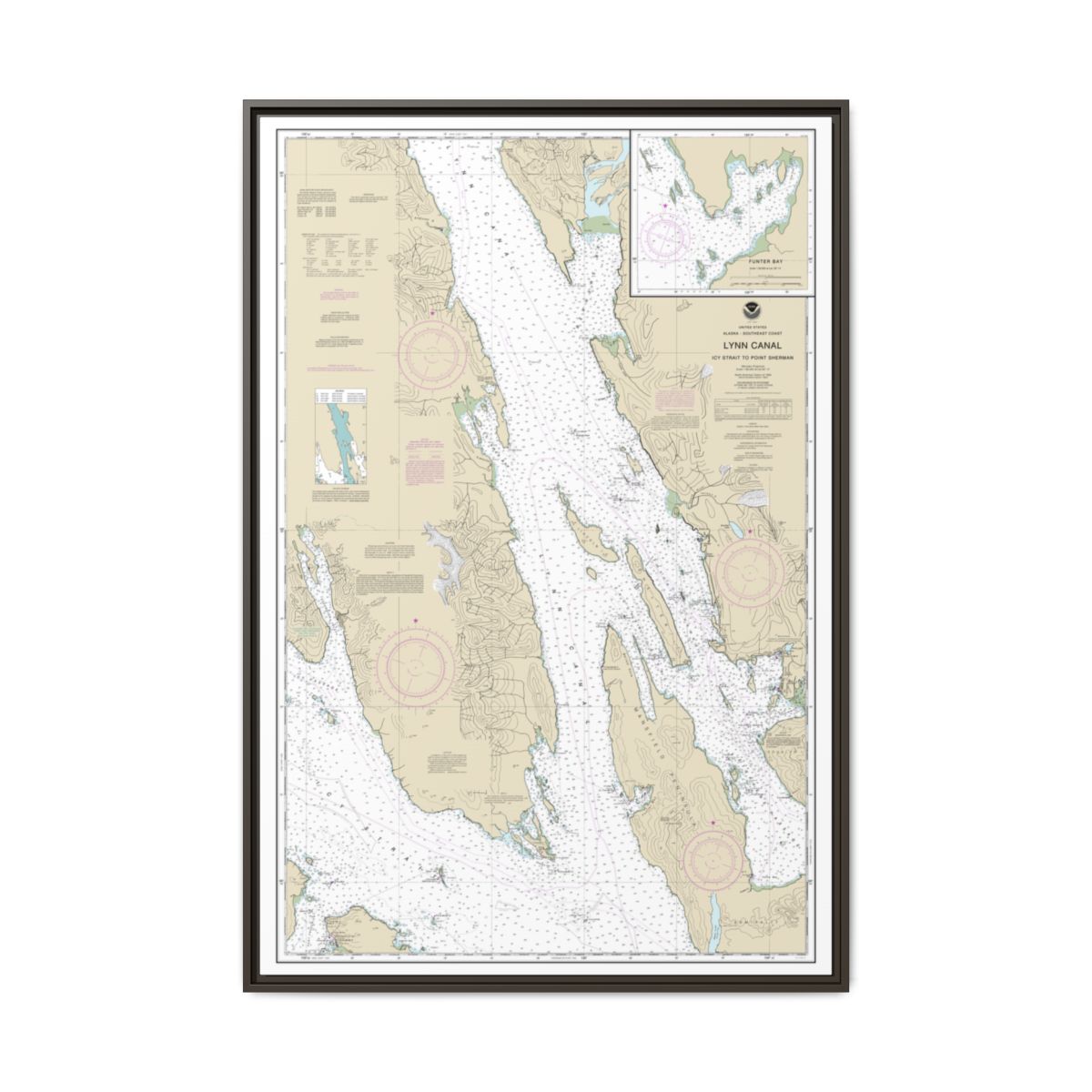 Chart 17316 Lynn Canal-Icy Str. to Point Sherman;Funter Bay;Chatham Strait - NOAA Nautical Chart Floating Frame Canvas | 20" x 30" | 24" x 36" | 32" x 48" - Espresso front