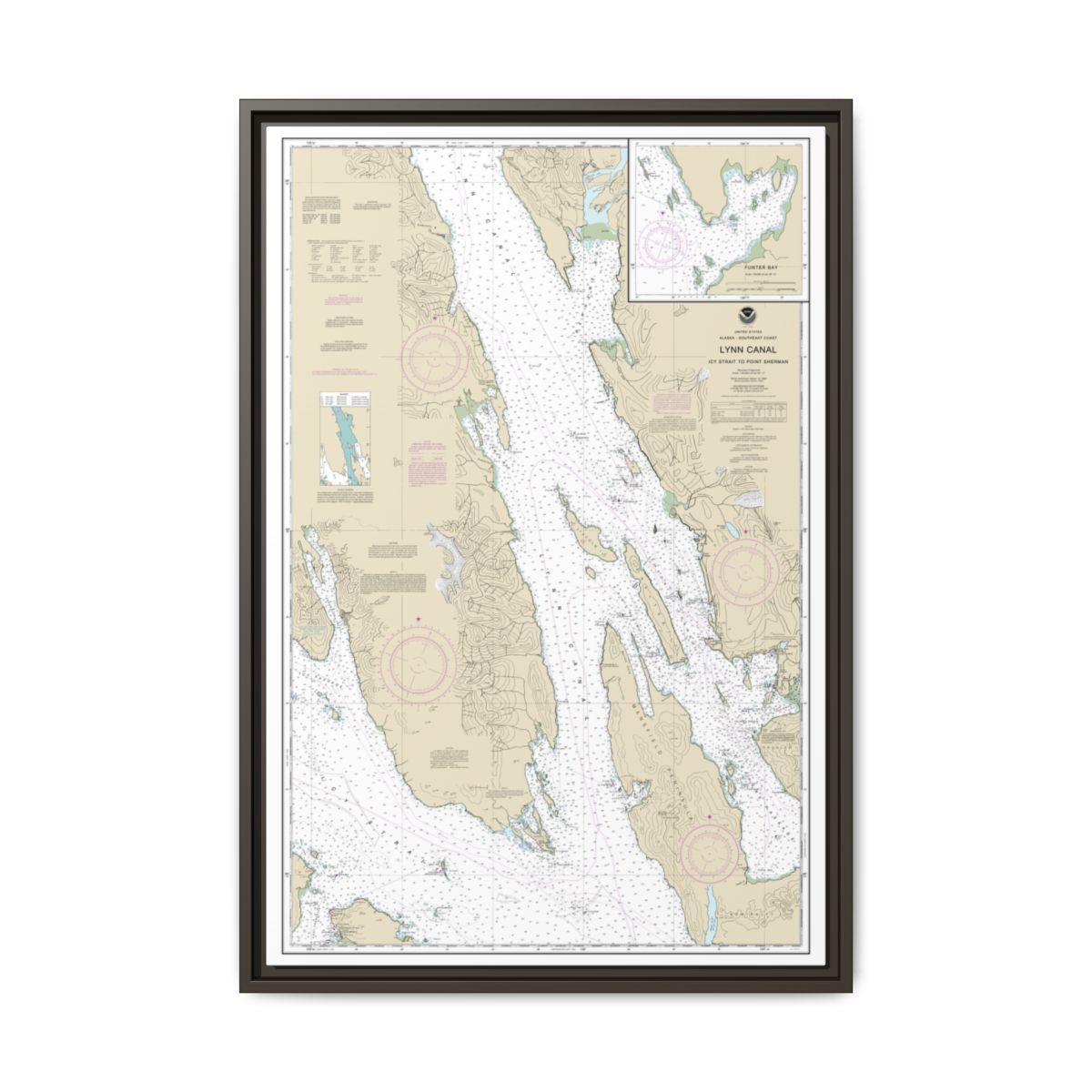 Chart 17316 Lynn Canal-Icy Str. to Point Sherman;Funter Bay;Chatham Strait - NOAA Nautical Chart Floating Frame Canvas | 20" x 30" | 24" x 36" | 32" x 48" - Espresso front