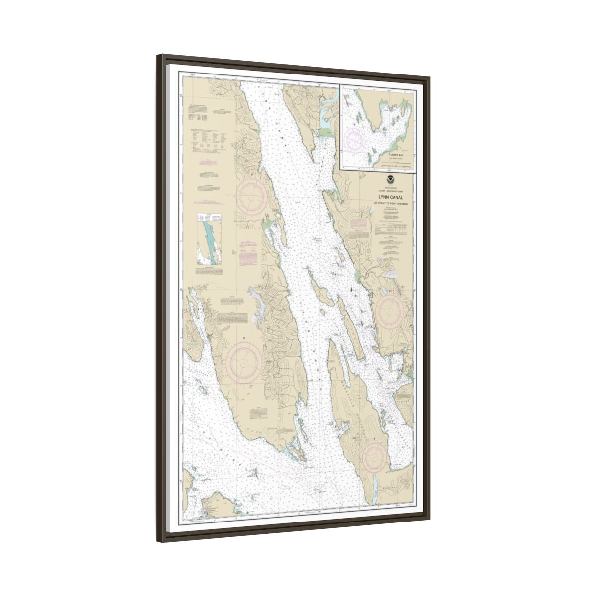 Chart 17316 Lynn Canal-Icy Str. to Point Sherman;Funter Bay;Chatham Strait - NOAA Nautical Chart Floating Frame Canvas | 20" x 30" | 24" x 36" | 32" x 48" - Espresso side