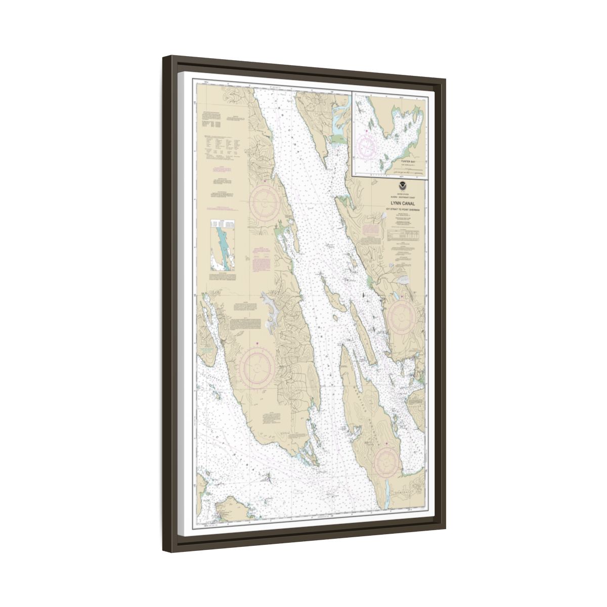 Chart 17316 Lynn Canal-Icy Str. to Point Sherman;Funter Bay;Chatham Strait - NOAA Nautical Chart Floating Frame Canvas | 20" x 30" | 24" x 36" | 32" x 48" - Espresso side
