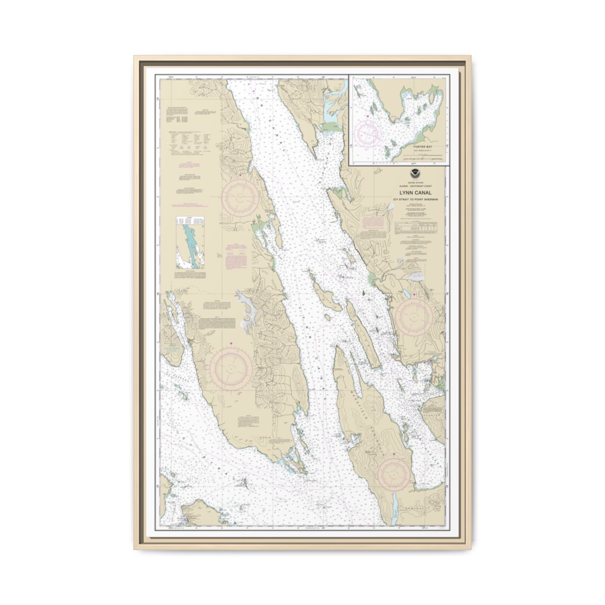Chart 17316 Lynn Canal-Icy Str. to Point Sherman;Funter Bay;Chatham Strait - NOAA Nautical Chart Floating Frame Canvas | 20" x 30" | 24" x 36" | 32" x 48" - Natural front