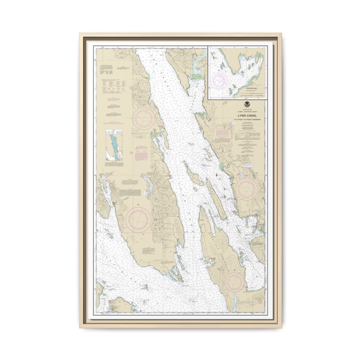 Chart 17316 Lynn Canal-Icy Str. to Point Sherman;Funter Bay;Chatham Strait - NOAA Nautical Chart Floating Frame Canvas | 20" x 30" | 24" x 36" | 32" x 48" - Natural front
