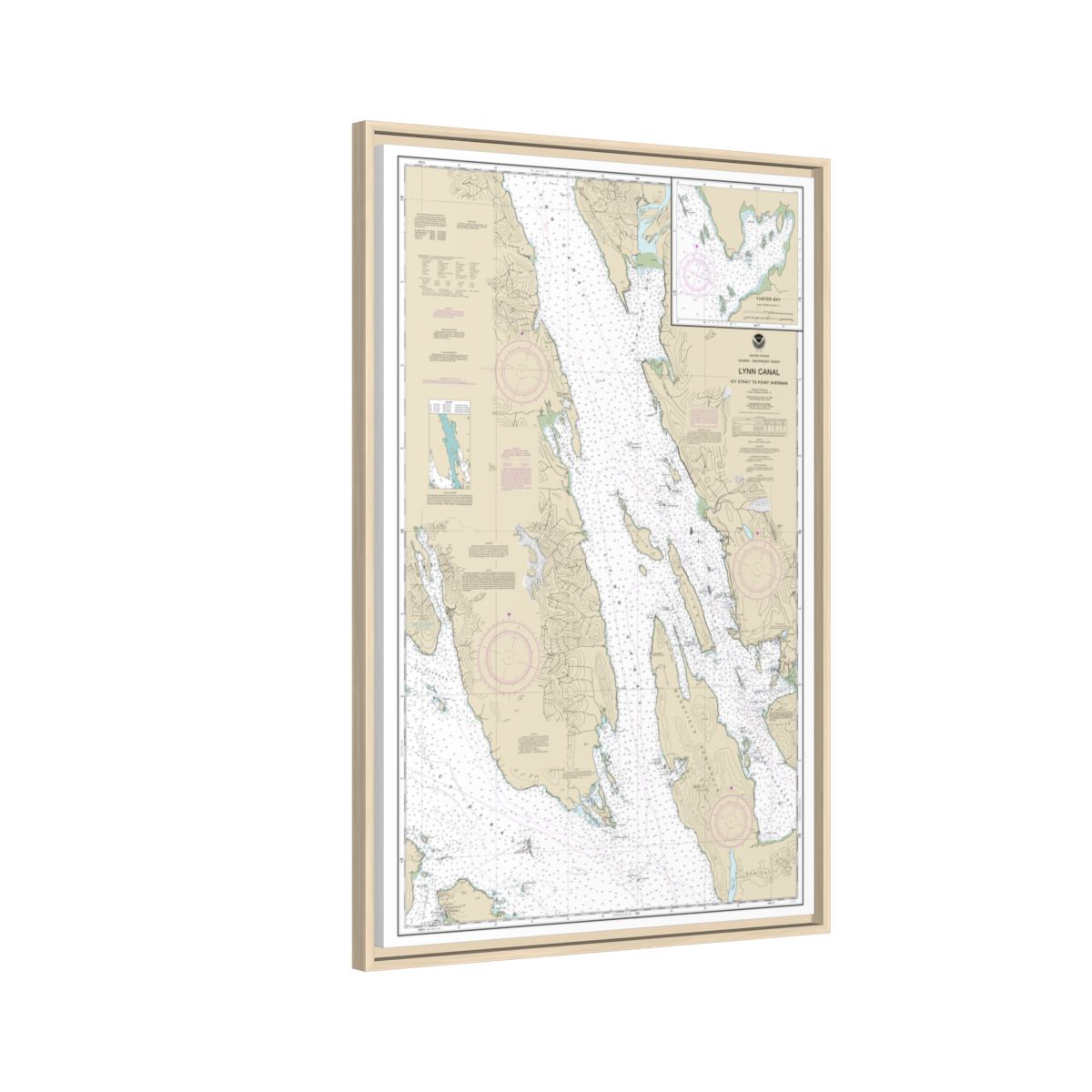 Chart 17316 Lynn Canal-Icy Str. to Point Sherman;Funter Bay;Chatham Strait - NOAA Nautical Chart Floating Frame Canvas | 20" x 30" | 24" x 36" | 32" x 48" - Natural side