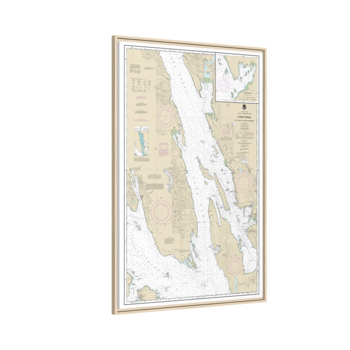Chart 17316 Lynn Canal-Icy Str. to Point Sherman;Funter Bay;Chatham Strait - NOAA Nautical Chart Floating Frame Canvas | 20" x 30" | 24" x 36" | 32" x 48" - Natural side