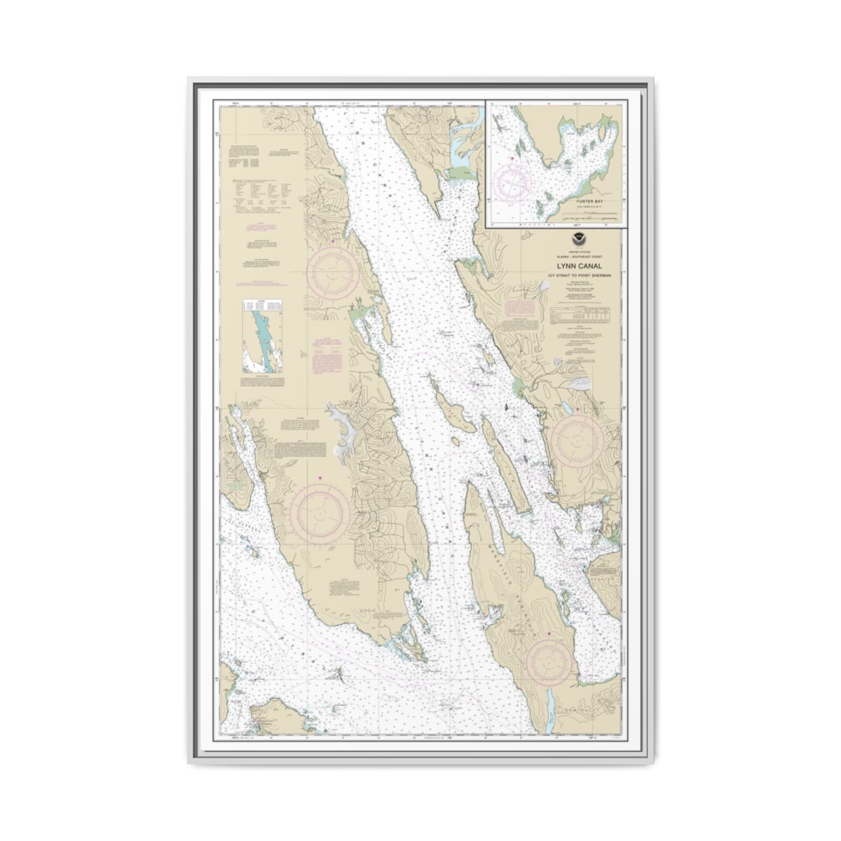 Chart 17316 Lynn Canal-Icy Str. to Point Sherman;Funter Bay;Chatham Strait - NOAA Nautical Chart Floating Frame Canvas | 20" x 30" | 24" x 36" | 32" x 48" - White front
