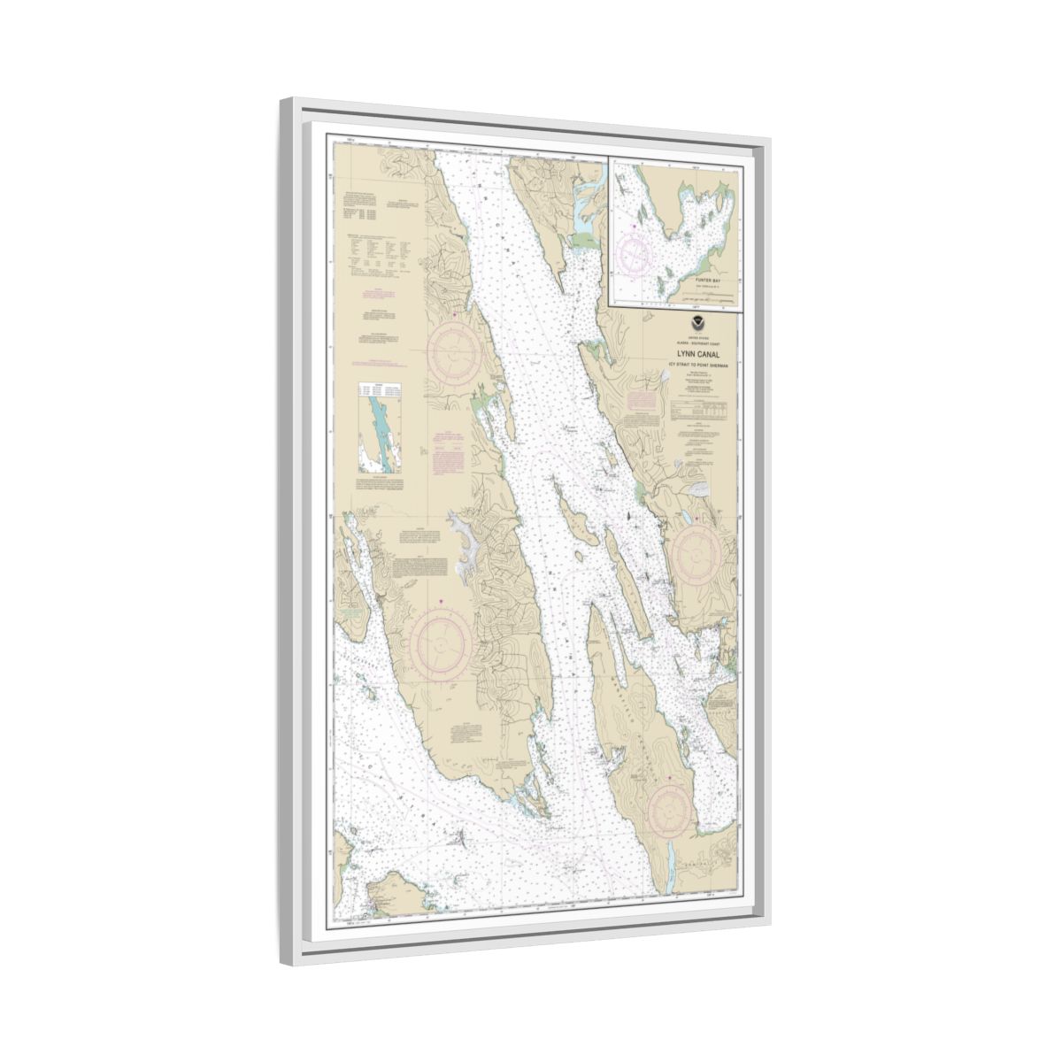 Chart 17316 Lynn Canal-Icy Str. to Point Sherman;Funter Bay;Chatham Strait - NOAA Nautical Chart Floating Frame Canvas | 20" x 30" | 24" x 36" | 32" x 48" - White side