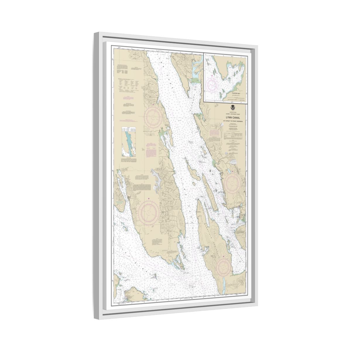 Chart 17316 Lynn Canal-Icy Str. to Point Sherman;Funter Bay;Chatham Strait - NOAA Nautical Chart Floating Frame Canvas | 20" x 30" | 24" x 36" | 32" x 48" - White side
