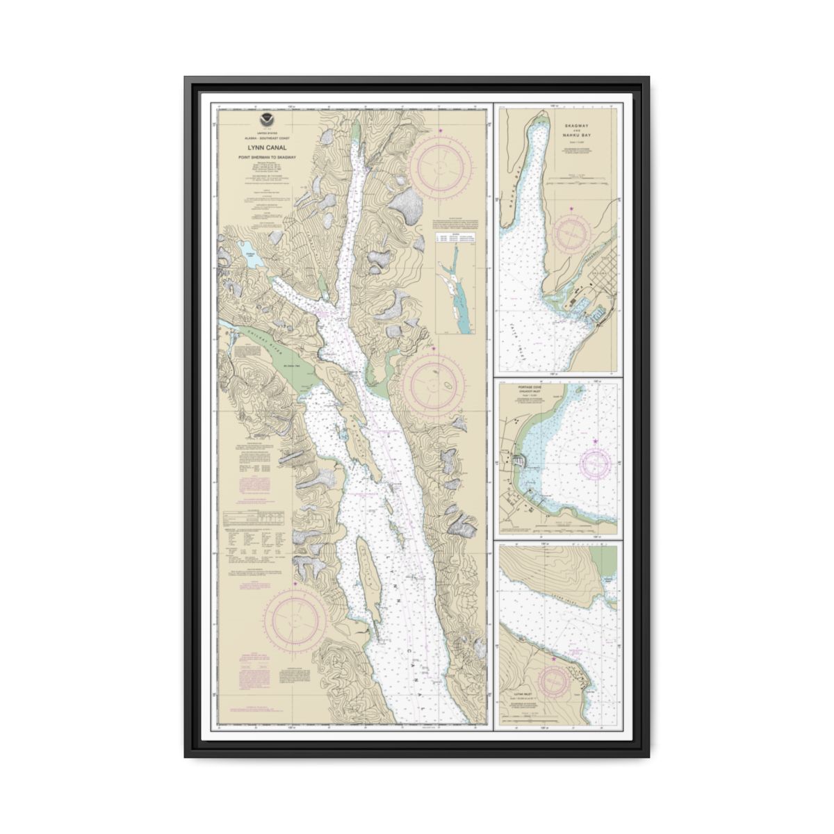 Chart 17317 Lynn Canal-Point Sherman to Skagway;Lutak Inlet;Skagway and Nahku Bay;Portage Cove, Chilkoot Inlet - NOAA Nautical Chart Floating Frame Canvas | 20" x 30" | 24" x 36" | 32" x 48" - Black front